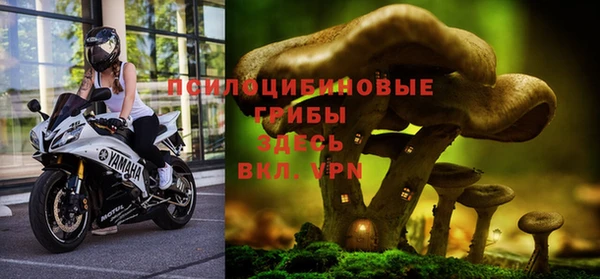 прущий лед Балахна