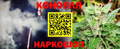 трава Новодвинск