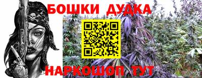 трава Новодвинск
