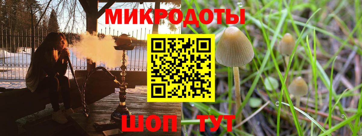 Псилоцибиновые грибы Cubensis Унеча